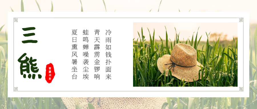 三熊小程序.jpeg